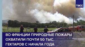 Во Франции природные пожары охватили почти 50 тыс. гектаров с начала года