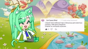 ответы на вопросы. Cat cassia ofisal