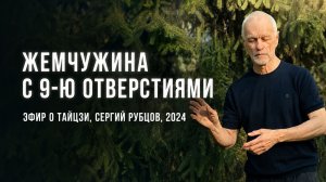 Настоящий тайцзицюань: движение без мышечного усилия | Сергий Рубцов