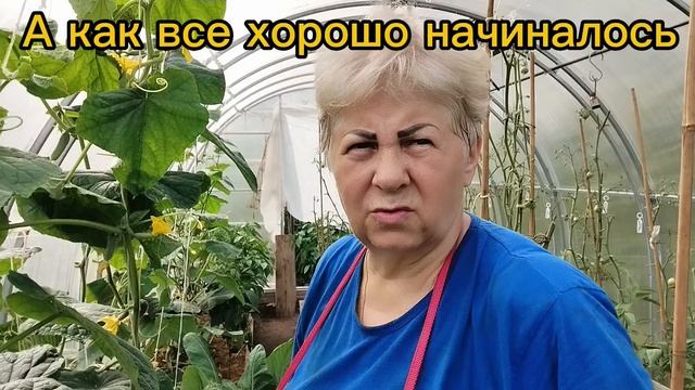 Урожай под угрозой смотреть онлайн