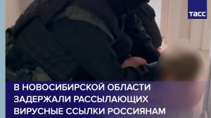 В Новосибирской области задержали рассылающих вирусные ссылки россиянам