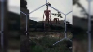 (батл с квизом) Эдит сиреноголовый