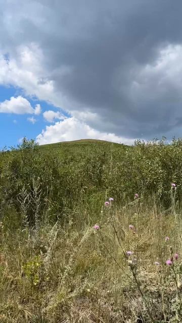 Едем на базу 