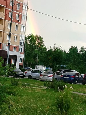 гуляем с лп