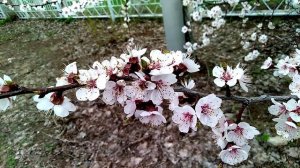 Времена года - Осень #Волгоград #мой_город