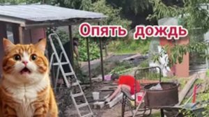Опять дожди. Полы из всякого и палок. Сочники.