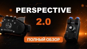 PERSPECTIVE 2.0