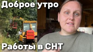 По традиции утренняя прогулка. Ведутся работы в СНТ