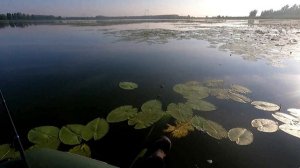 оз.Среднее Песьяново, рыбалка поймал отпустил.