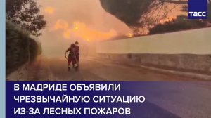 В Мадриде объявили чрезвычайную ситуацию из-за лесных пожаров
