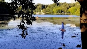 Головинские пруды в июле