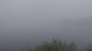 1000049817.mp4