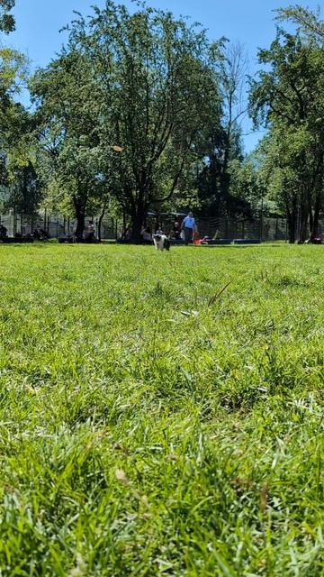 Нарезка выступлений в классе Прогресс часть I