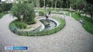 В Ессентуках спасли упавшего в пруд ребенка