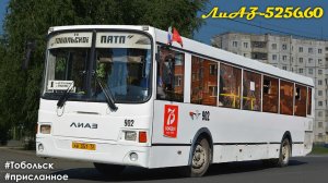Тобольский ЛиАЗ 5256.60 (ЯМЗ-5362 & Voith DIWA D854.3E)