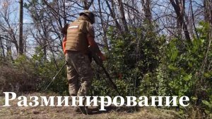 В ЛНР с 2022 года разминировали более 4000 тысяч гектаров земли