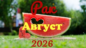 Рак♋ Таро-прогноз на Август 🕊