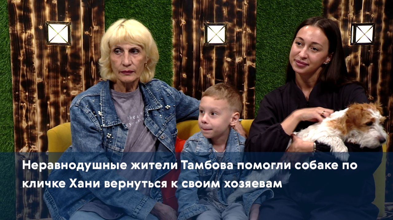Неравнодушные жители Тамбова помогли собаке по кличке Хани вернуться к своим хозяевам смотреть онлайн