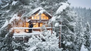 Уютный домик на дереве в объятиях зимы ❄️