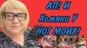 АП!!! И ХОМЯКИ У НОГ МОИХ СЕЛИ. ОЛЬГА УРАЛОЧКА LIVE. ОБЗОР.