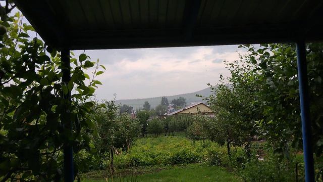 1099.mp4 смотреть онлайн