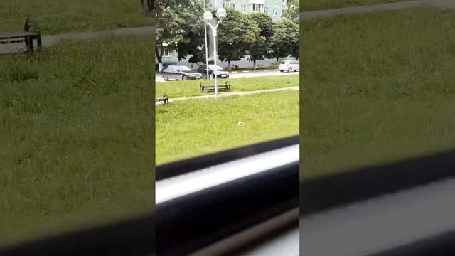 Поездка на ТУ10-002 смотреть онлайн