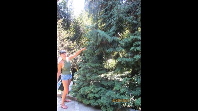 6 КРЫМ 2015 день шестой Никита