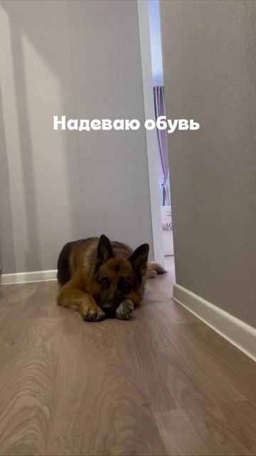 Мы для них и есть вся жизнь ❤️🩹❤️💔