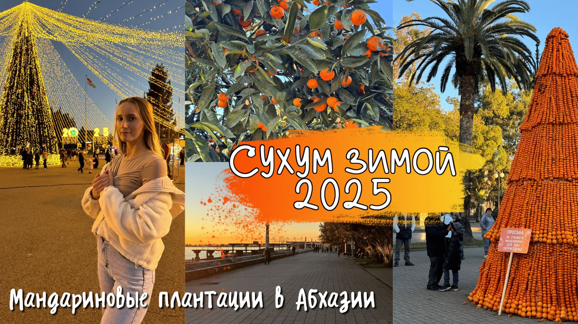 Новогодний Сухум/мандариновый совхоз/зимняя Абхазия 2025