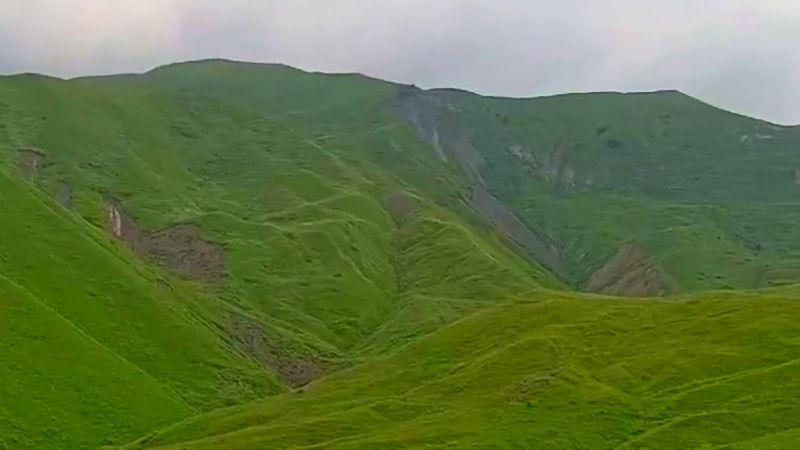 В гостях у детства