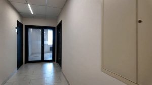 Приехала в Новосибирск / Где живем / Гуляем по центу города
