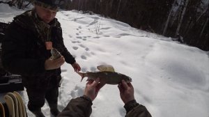 ХАРИУС НАШИХ УГОДИЙ! ПЕРВАЯ ОТТЕПЕЛЬ И БУРАНЫ-4Т В ГЛУБОКОМ СЫРОМ СНЕГУ. РЕЧКА НАЧАЛА ВСКРЫВАТЬСЯ.