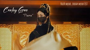 OST из дорамы «Убей меня, люби меня»/  Kill Me, Love Me Chinese Drama OST/ Curley Gao: Flame