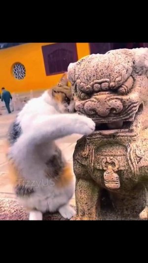 Кошка из пагоды🐱😂🤣