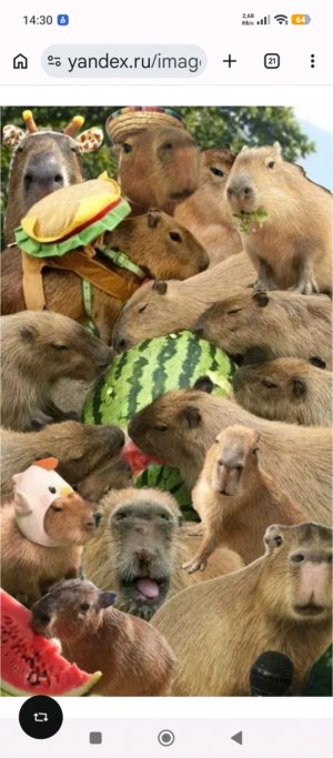 Стрим