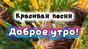 ДОБРОЕ УТРО! Новая красивая песня.