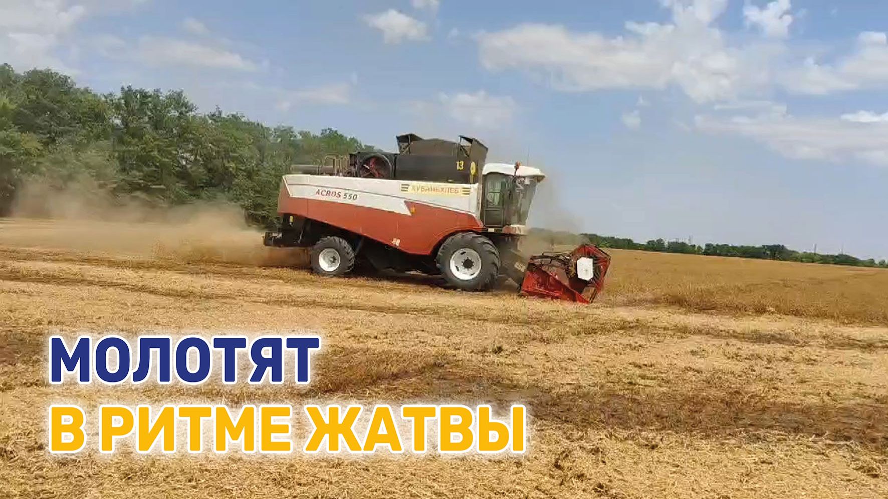 У хлеборобов горячая пора – идет уборка урожая