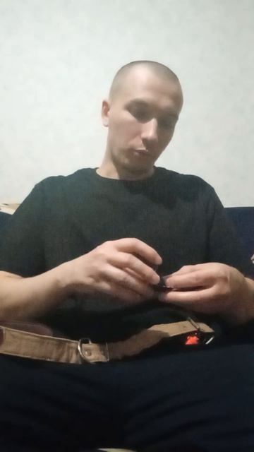 Показываю что амстафф Трейси носит в капсуле на ошейнике