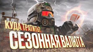 КУДА ТРАТИТЬ КАТРИДЖИ В ИГРЕ СТАЛЗОН  Полный гайд