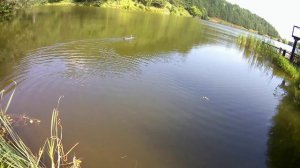 Плавание БМО 23.07.2026