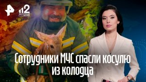 Спасатели вызволили косулю из колодца в Калининградской области