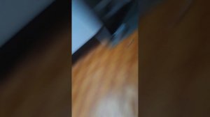 как я собакой тёти