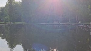Утренний обзор с Нижнего водоёма. Клёвое место лосиный остров.