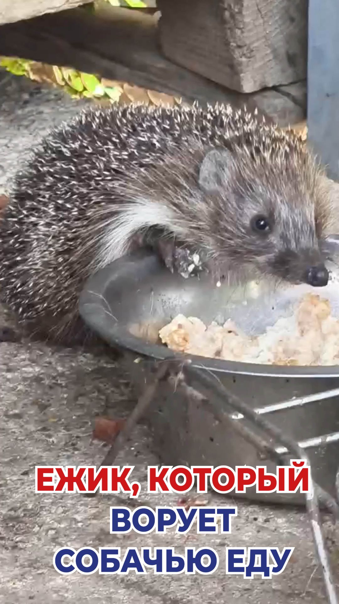 И ни капельки не стыдно...