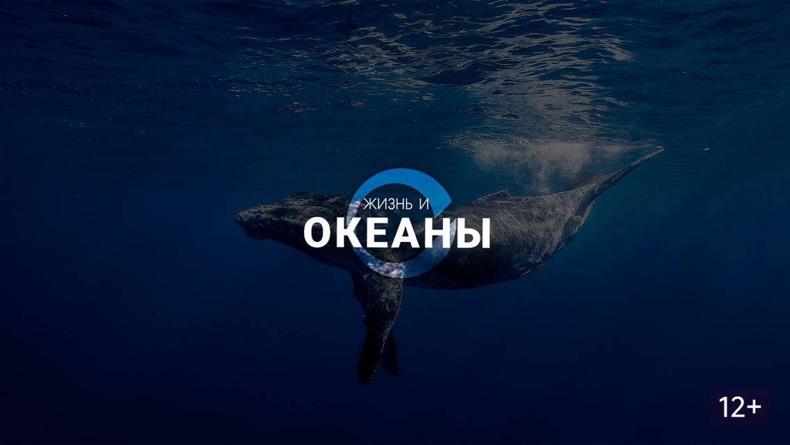 Жизнь и Океаны - 1 серия / Life & The Oceans смотреть онлайн