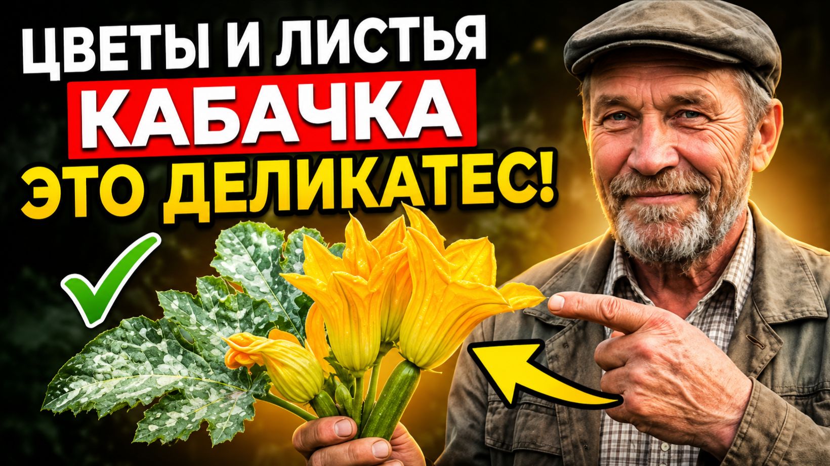 Цветы и листья кабачка — вы выбрасываете деликатес!