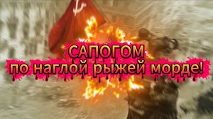 Сапогом по наглой рыжей морде!