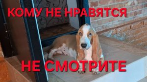 1377  А сами попробуйте. Не нравится не смотрите. И Это тоже наша жизнь.Городские в станице.
