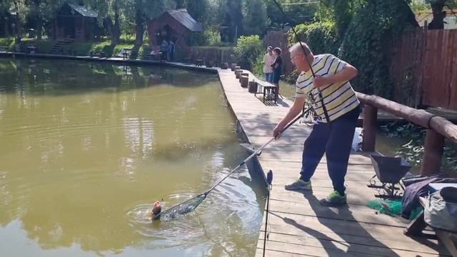 1000056272.mp4 смотреть онлайн