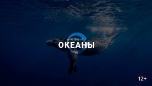 Жизнь и Океаны - 2 серия / Life & The Oceans